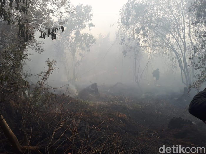 Polisi Tangkap 2 Warga Pembakar Lahan di Inhil Riau