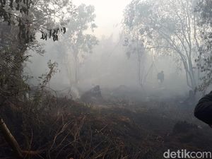 Kritik Keras Fadli Zon Soal Karhutla: Seperti Lemparan Kotoran