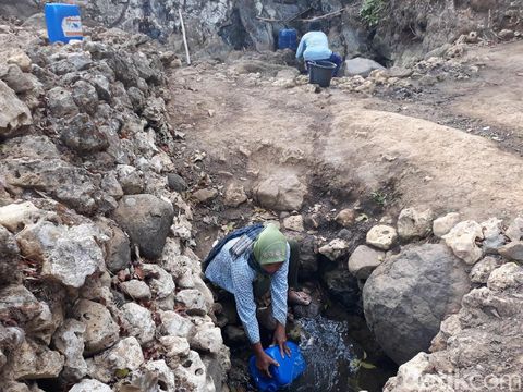 Musim Kemarau, Warga di Gunungkidul Manfaatkan Rembesan Air Pohon Beringin