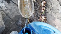 Saluran ini mengalirkan air yang berasal dari sela-sela bebatuan yang pada bagian atasnya terdapat sebuah pohon beringin berukuran besar.