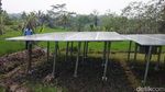 Mantul! Sinar Matahari Dipakai Sedot Air Aliri Sawah
