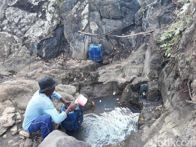 Cari Air Bersih, Warga di Gunungkidul Manfaatkan Rembesan Pohon Beringin Cari Air Bersih, Warga di Gunungkidul Manfaatkan Rembesan Pohon Beringin