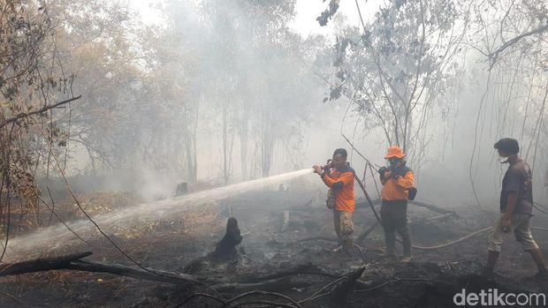Pemadaman karhutla di Riau terus dilakukan