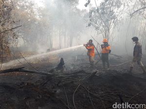 Kasus Karhutla, Bareskrim Polri Akan Panggil Bupati Pelalawan