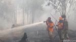 Upaya Petugas Gabungan Berjibaku Padamkan Api Karhutla