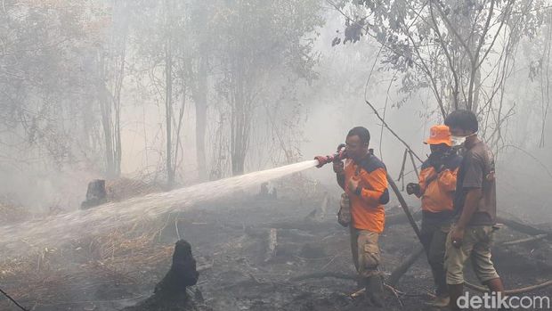 Karhutla Indonesia Berimbas ke Tetangga, Disorot Media Asing