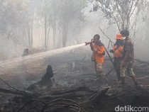 Video: 6 Provinsi Jadi Prioritas Masalah Kebakaran Hutan, Riau Darurat