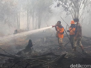 Asap Karhutla Berimbas ke Negara Tetangga, KLHK: Sudah Ditangani
