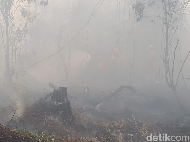 Hot Spot Bertambah, Udara di Sumsel-Jambi Sore Ini Tidak Sehat Hot Spot Bertambah, Udara di Sumsel-Jambi Sore Ini Tidak Sehat