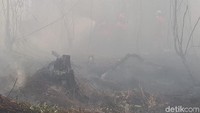 Sebelumnya, saat meninjau lokasi kebakaran hutan dan lahan di Merbau, Jokowi menduga ada unsur disengaja dan terorganisir oleh para oknum.