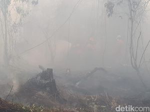 Polisi Tangkap Warga Inhu Riau Tersangka Pembakar Lahan