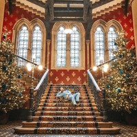 Alex tidak datang dari keluarga kaya. Tapi ia kreatif dan suka kerja keras. Di tengah kesibukannya jadi influencer, dia juga masih bekerja sebagai creative director di industri fashion. Namun berkat ide kreatif menciptakan konten unik, dia bisa menikmati segala kemewahan yang mungkin hanya bisa didapat jutawan dan selebriti. Foto: Instagram/@followthenap