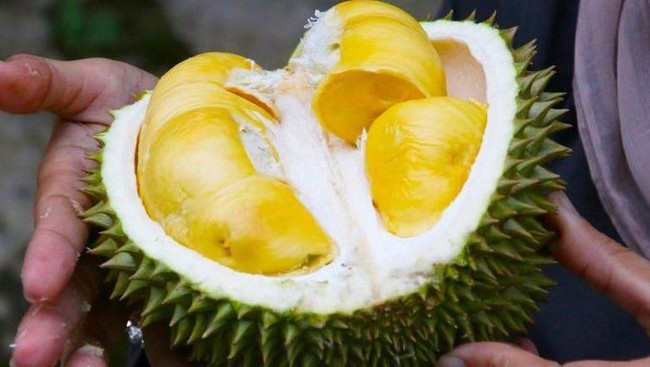 5 Kejadian Heboh di Pesawat Ini Hanya Gara-gara Makanan 5 Kejadian Heboh di Pesawat Ini Hanya Gara-gara Makanan