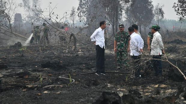 Presiden Joko Widodo meninjau lokasi karhutla di Desa Merbau, Kecamatan Bunut, Kabupaten Pelalawan, Kota Pekanbaru, Selasa (17/9/2019).  (BPMI Setpres/Laily Rachev)