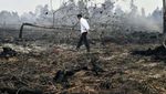 Jokowi Cek Kebakaran Hutan di Riau, Begini Kondisinya