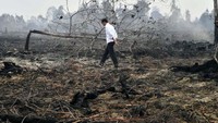 Jokowi menduga karhutla di Merbau disengaja dan terorganisir. Laily Rachev/Biro Pers Sekretariat Presiden.