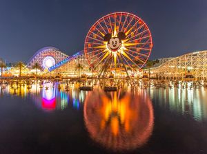 Puluhan Ribu Orang Teken Petisi Online Tolak Pembukaan Disneyland