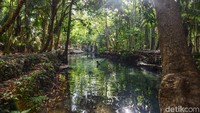 Oleh karena itu jangan heran jika saat berkunjung ke Pemandian Oemau ada saja warga ataupun wisatawan yang datang untuk berendam di sana. Pasalnya siapa yang tak ingin berendam dan bermain air jika melihat pemandian dengan mata air yang begitu jernih seperti ini?