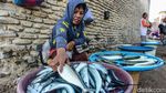 Melihat Geliat Kehidupan di Pelabuhan Rote
