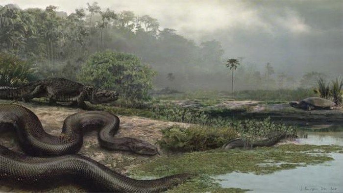 Titanoboa Ular Purba  Raksasa  yang Lebih Besar dari Raja Piton