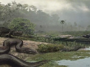 Titanoboa, Ular Purba Raksasa yang Lebih Besar dari Raja Piton
