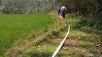 Mantul! Sinar Matahari Dipakai Sedot Air Aliri Sawah