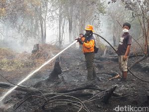 Upaya Petugas Gabungan Berjibaku Padamkan Api Karhutla