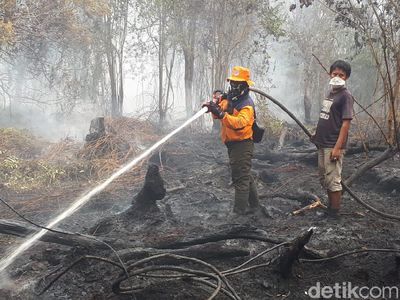 Upaya Petugas Gabungan Berjibaku Padamkan Api Karhutla