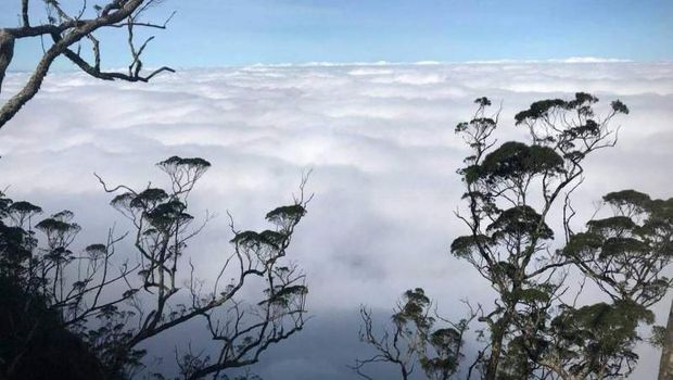 Gunung Mutis di NTT