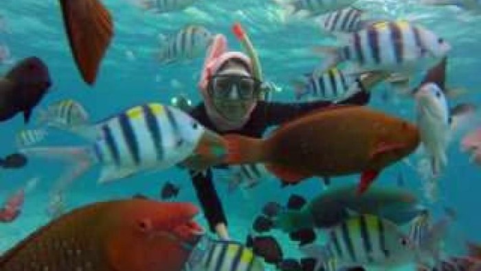 Underwater Pulau Rubiah