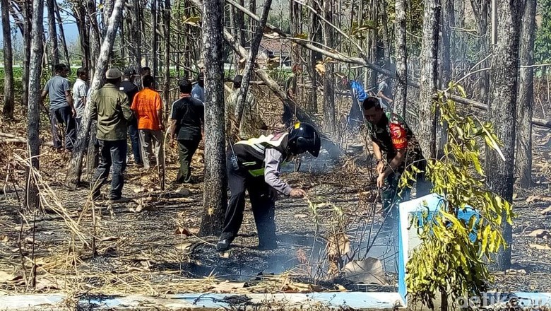 60,5 Hektare Hutan di Ponorogo Terbakar Selama Empat Bulan 60,5 Hektare Hutan di Ponorogo Terbakar Selama Empat Bulan