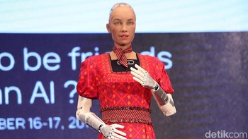 Kamera yang ada di mata Sophia dikombinasikan dengan komputer yang memungkinkannya untuk melihat. Ia bisa mengikuti wajah, menatap mata dan mengenali individu. Sekitar Januari 2018, Sophia di-upgrade kakinya untuk berjalan, begitu informasi mengenai Sophia.