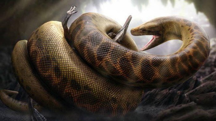 Titanoboa