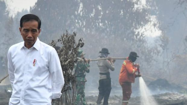 Herannya Jokowi pada Karhutla yang Terorganisasi 