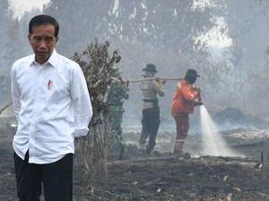 Cek Karhutla di Merbau Riau, Jokowi: Jika Dilihat Ini Terorganisasi