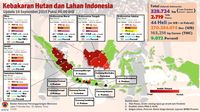 Karhutla Belum Padam, Udara di Kalteng-Kalbar-Riau Berbahaya!