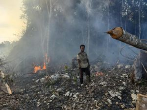 Polisi Jerat 9 Tersangka terkait Pembakaran 29 Ha Lahan di Berau Kaltim