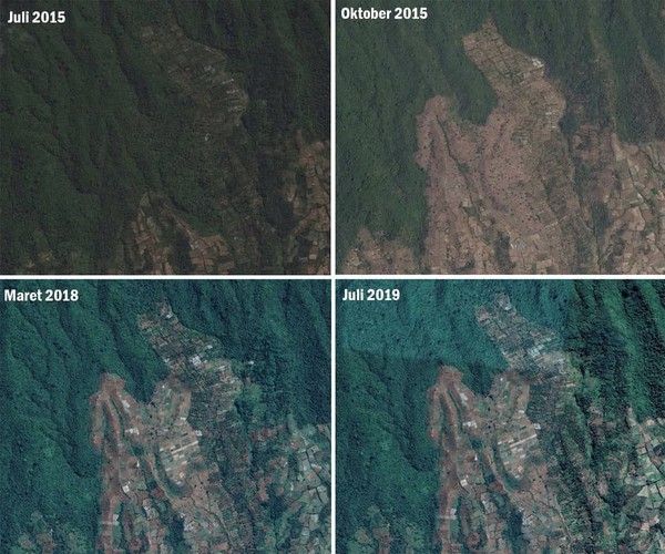 Hutan Pesugulan tahun 2015 penuh dengan tegakan pohon, sejuk dan rindang. Pada 2019 telah berubah menjadi gundul akibat kegiatan Pemanfaatan Kawasan Tanpa Izin (PKTI) (BTNGR/Instagram) Hutan Pesugulan tahun 2015 penuh dengan tegakan pohon, sejuk dan rindang. Pada 2019 telah berubah menjadi gundul akibat kegiatan Pemanfaatan Kawasan Tanpa Izin (PKTI) (BTNGR/Instagram)