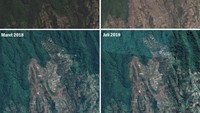 Hutan Pesugulan tahun 2015 penuh dengan tegakan pohon, sejuk dan rindang. Pada 2019 telah berubah menjadi gundul akibat kegiatan Pemanfaatan Kawasan Tanpa Izin (PKTI) (BTNGR/Instagram)