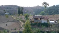 Perambahan di Gunung Rinjani menggerogoti dan bikin Hutan Pesugulan semakin gundul (BTNGR/Instagram)