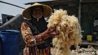 Kondisi itu membuat nelayan rumput laut tidak bisa menghasilkan untung yang banyak dari budidaya tersebut