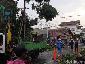 Sejumlah Pohon di Kota Cimahi Tumbang Diterjang Hujan Angin
