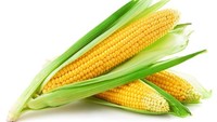 Meskipun tidak harus memakan bonggol jagung secara langsung. Namun bonggol jagung dapat dimanfaatkan dengan sangat baik. Cukup rebus bonggol jagung mentah atau panggang dengan garam untuk membuat kaldu jagung, dan basis ideal untuk sup jagung. Foto: iStock