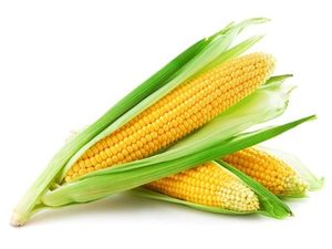Jagung Tergolong Jenis Buah, Sayur atau Bijian Ya?