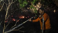 Kebakaran hutan dan lahan di Kalimantan Tengah menyebabkan sejumlah daerah di Provinsi tersebut diselimuti kabut asap. ANTARA FOTO/Hafidz Mubarak A.