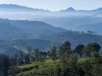 ISO 100, f/8, 1/300 detik, lensa 32-64mm.