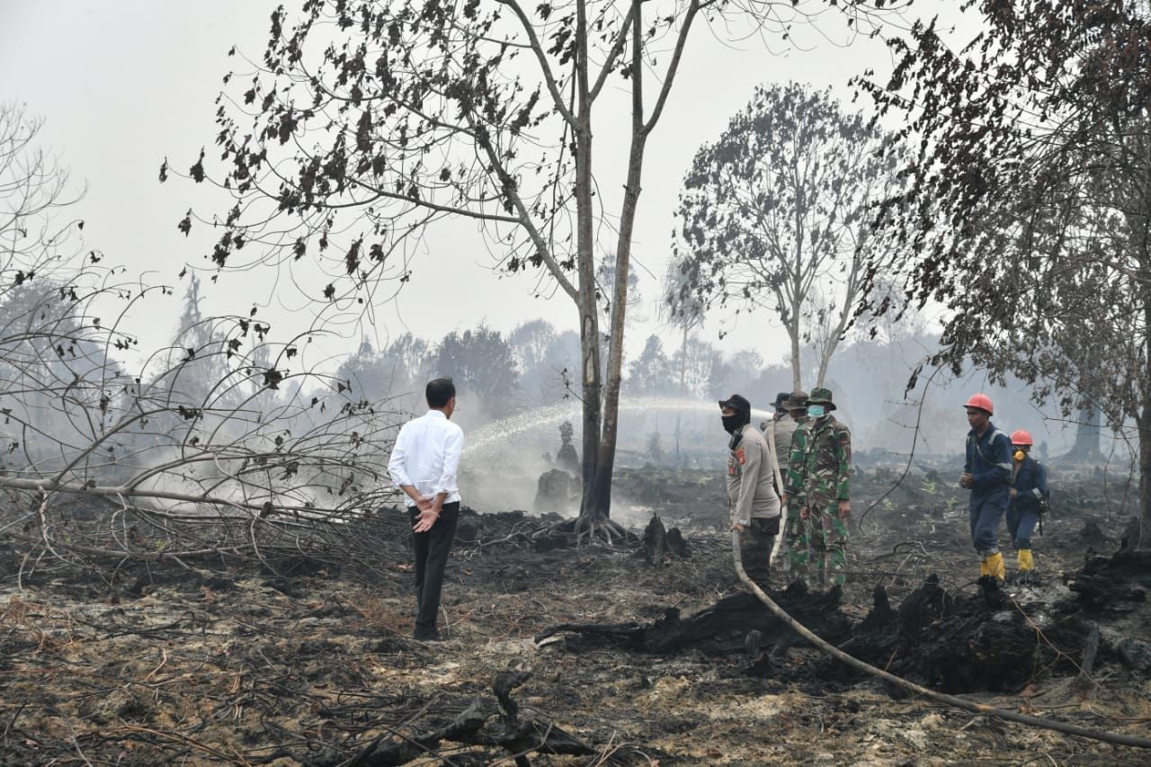 Presiden Joko Widodo meninjau lokasi karhutla di Desa Merbau, Kecamatan Bunut, Kabupaten Pelalawan, Kota Pekanbaru, Selasa, (17/9/2019). (BPMI Setpres/Laily Rachev) Presiden Joko Widodo meninjau lokasi karhutla di Desa Merbau, Kecamatan Bunut, Kabupaten Pelalawan, Kota Pekanbaru, Selasa, (17/9/2019). (BPMI Setpres/Laily Rachev)