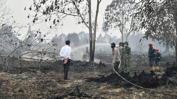 Pak Jokowi, Ratusan Ribu Rakyat Kena ISPA gegara Karhutla