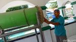 Masjid Tua di Rote, Bukti Toleransi Masyarakat NTT Sangat Tinggi
