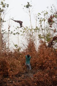 Dievakuasi dari Karhutla, 2 Orang Utan Diberi Nama 'Bara' dan 'Arang'